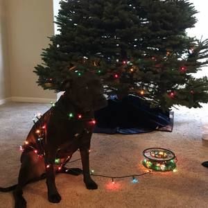 Meet your Posher, Janette